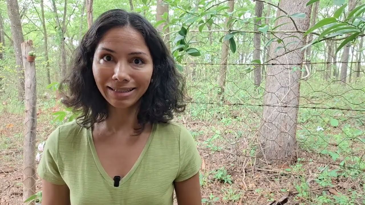 A Sabedoria Junguiana que Dezembro quer te entregar.