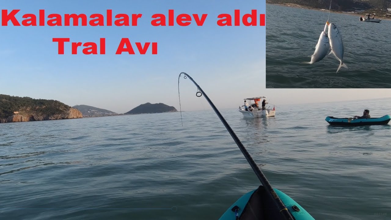 Kalamalar alev aldı. Onlarca Tral aldık. Kano ve Belly boat ile Tral avı. #bellyboat #kayakfishing