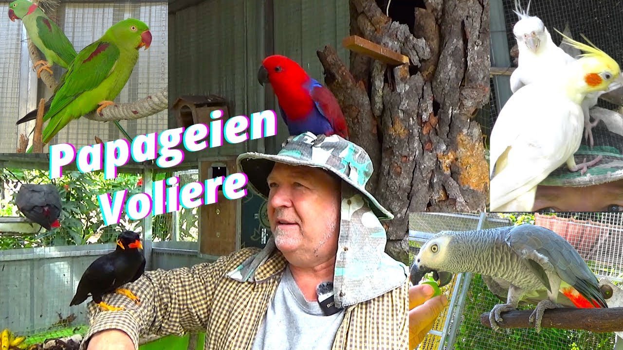 Neuanschaffung steht auf dem Plan. Was haben Pornpana und Uwe jetzt wieder vor??