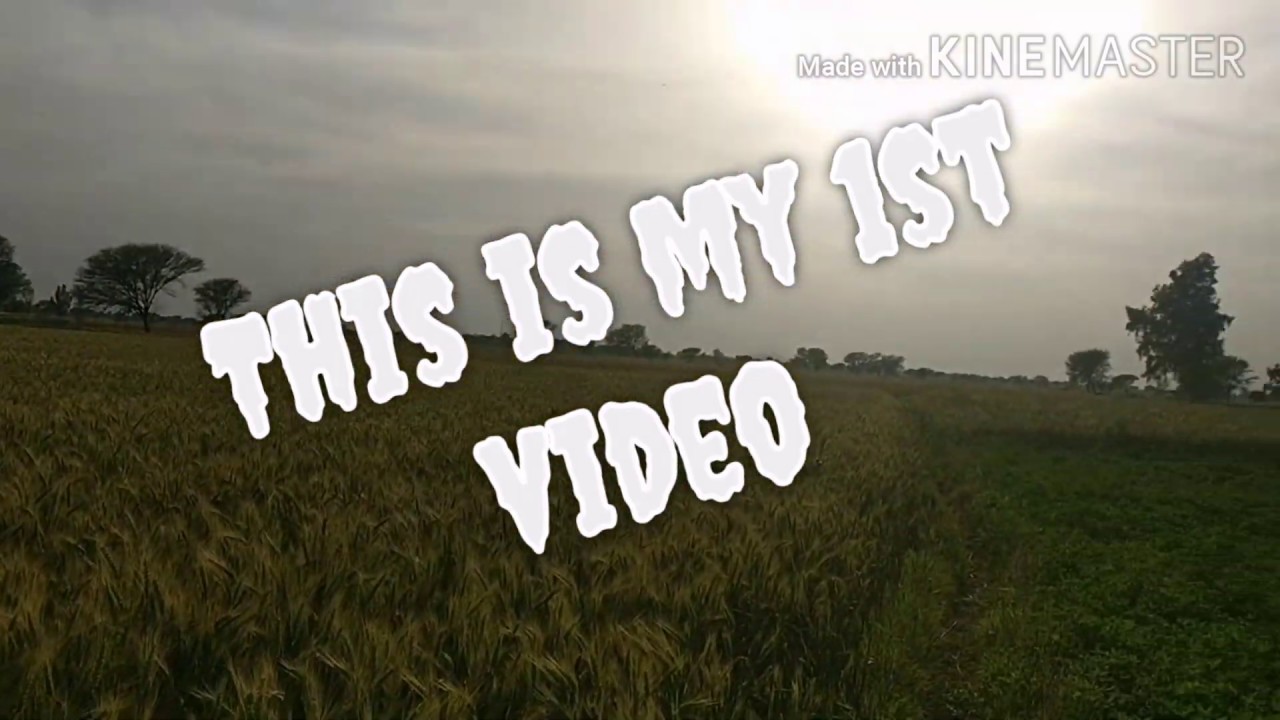My first video | Need your support 💓| Apna Agriculture|