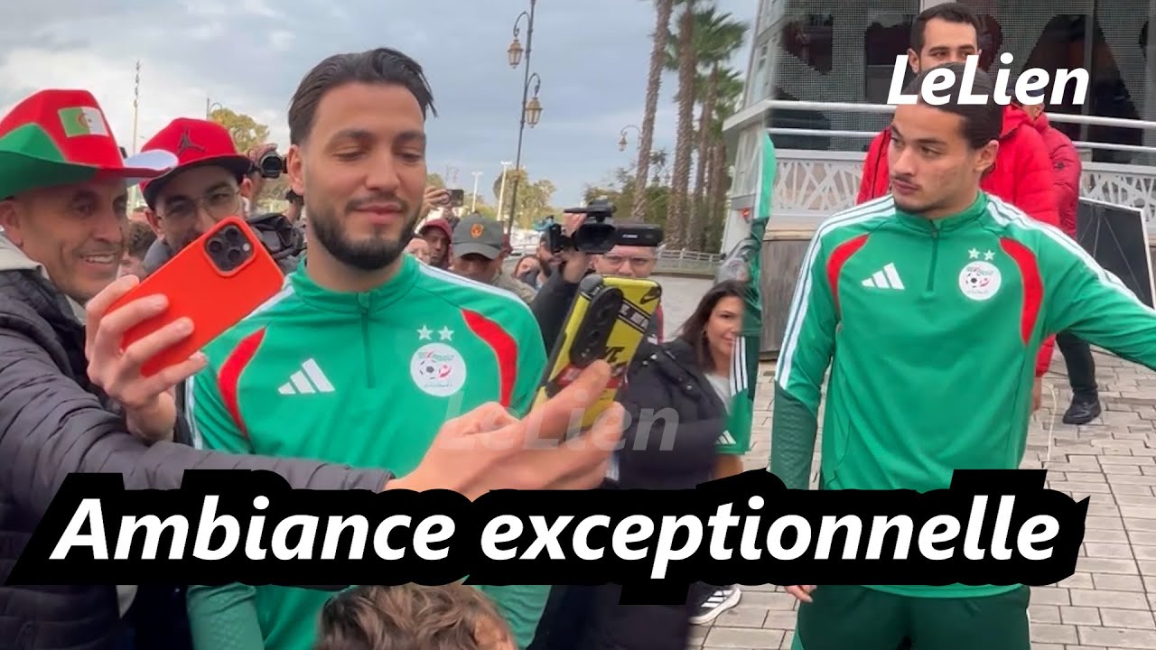 Scènes de joie à Rabat : les joueurs algériens à la rencontre des supporters 🇩🇿