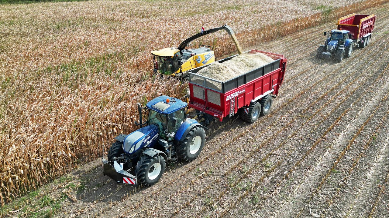 Mais Silage | New Holland FR650 | Van der Woerd | 2022