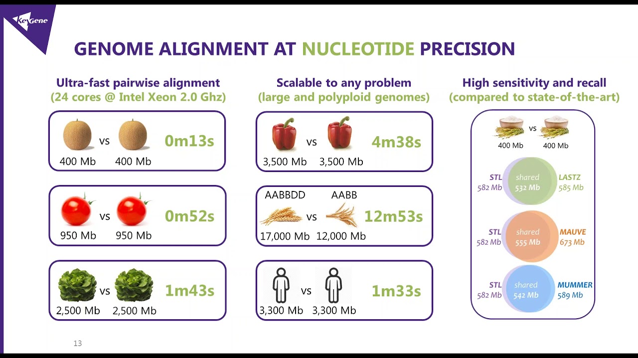 Ultra-fast comparative genomics of complex genomes at population scale