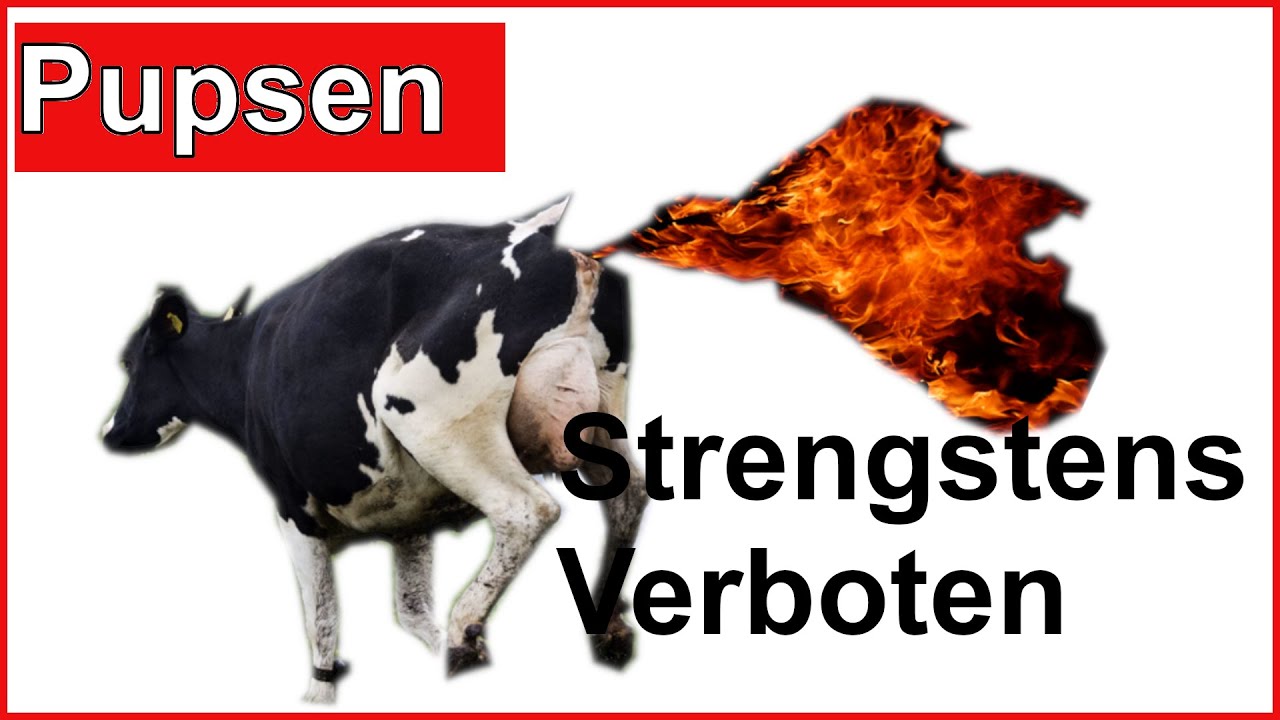 Pupsen strengstens verboten; Daf&uuml;r gibt es sogar ein 