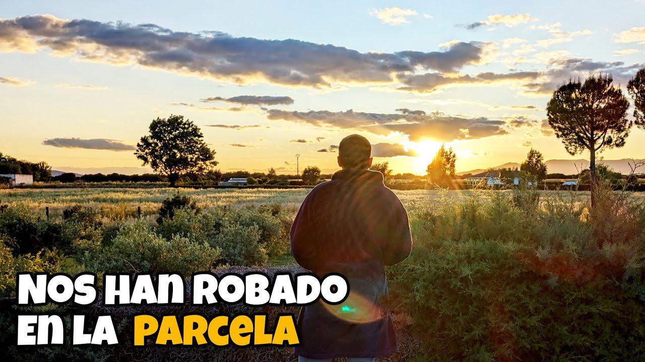 [DIARIO DE CAMPO CAP.12] Huerto terminado, roban en las parcelas y las ocas me vuelven a atacar.