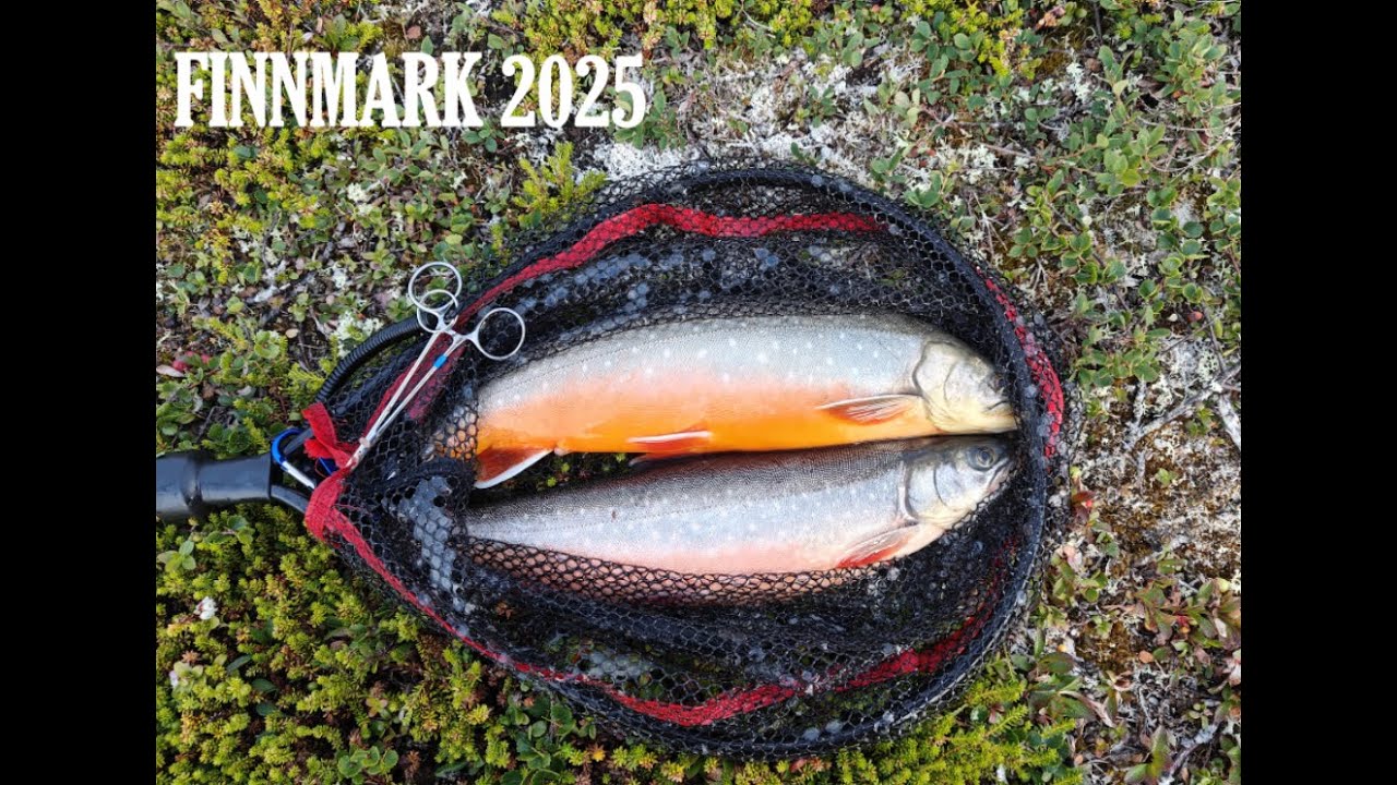 Tyyntä ennen myrskyä (Finnmark 2025)