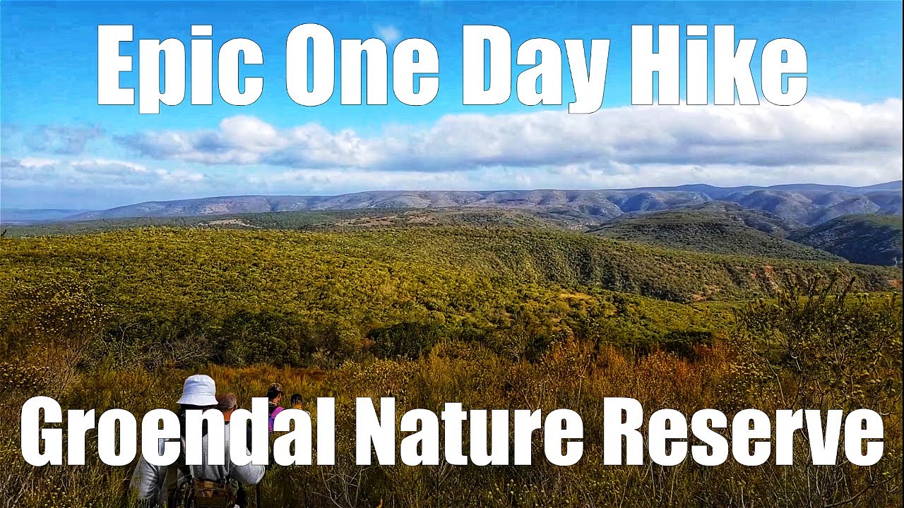 Epic Hike | We Swam With Cichlids | Groendal Nature Reserve