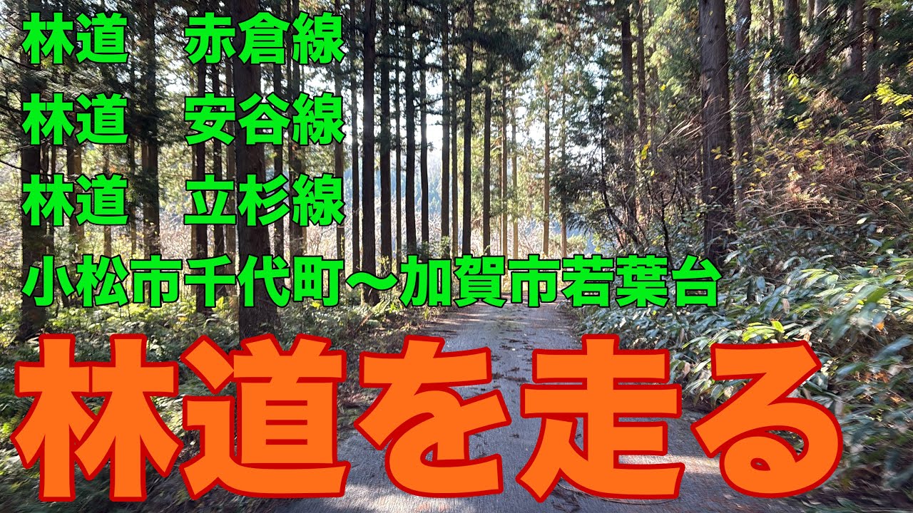 探熊紀行（小松市千代町～加賀市若葉台）の巻