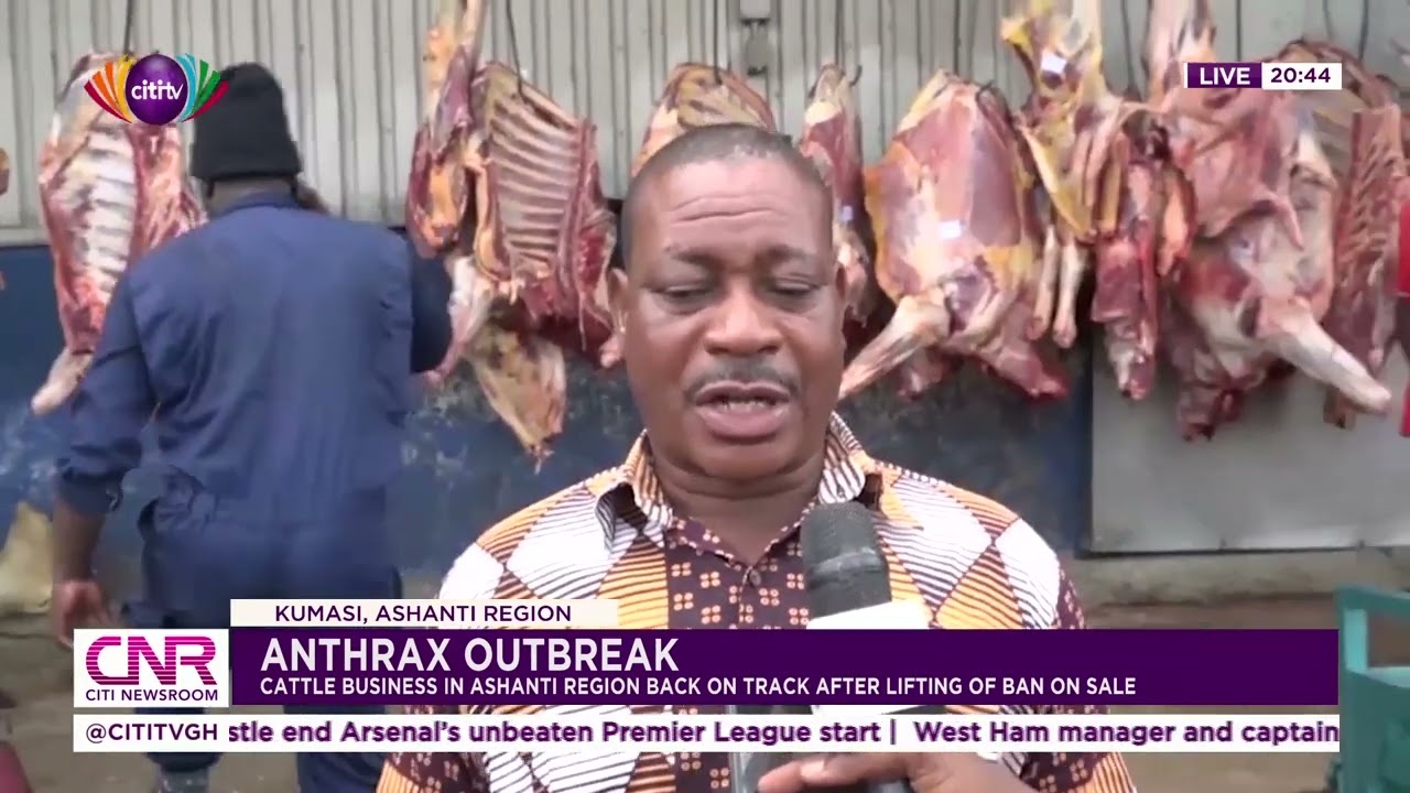 Anthrax outbreak: Cattle business in Ashanti region back on track after lifting of ban on sale | CNR