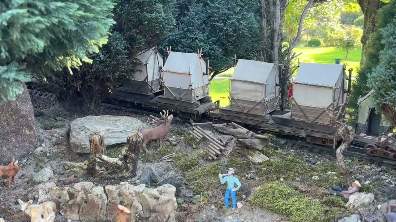 The Timber Train ￼