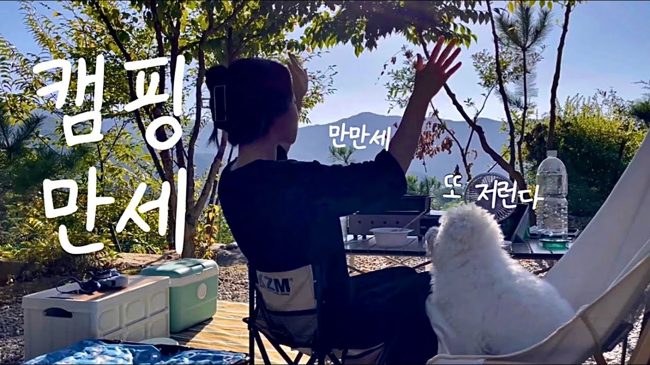 해발 500m 숲 속 차박 | 솔로캠핑 | 애견동반캠핑 | 셀토스 | 경남 함양 숲속애캠핑장