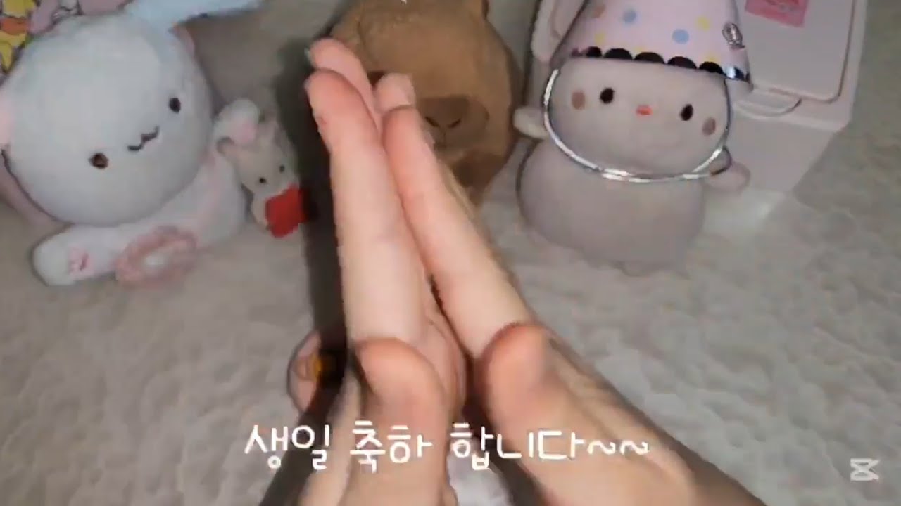 뽀찌의 생일 (3월18일) 브이로그#35 🤩🥳🎉🎊🎈🎁
