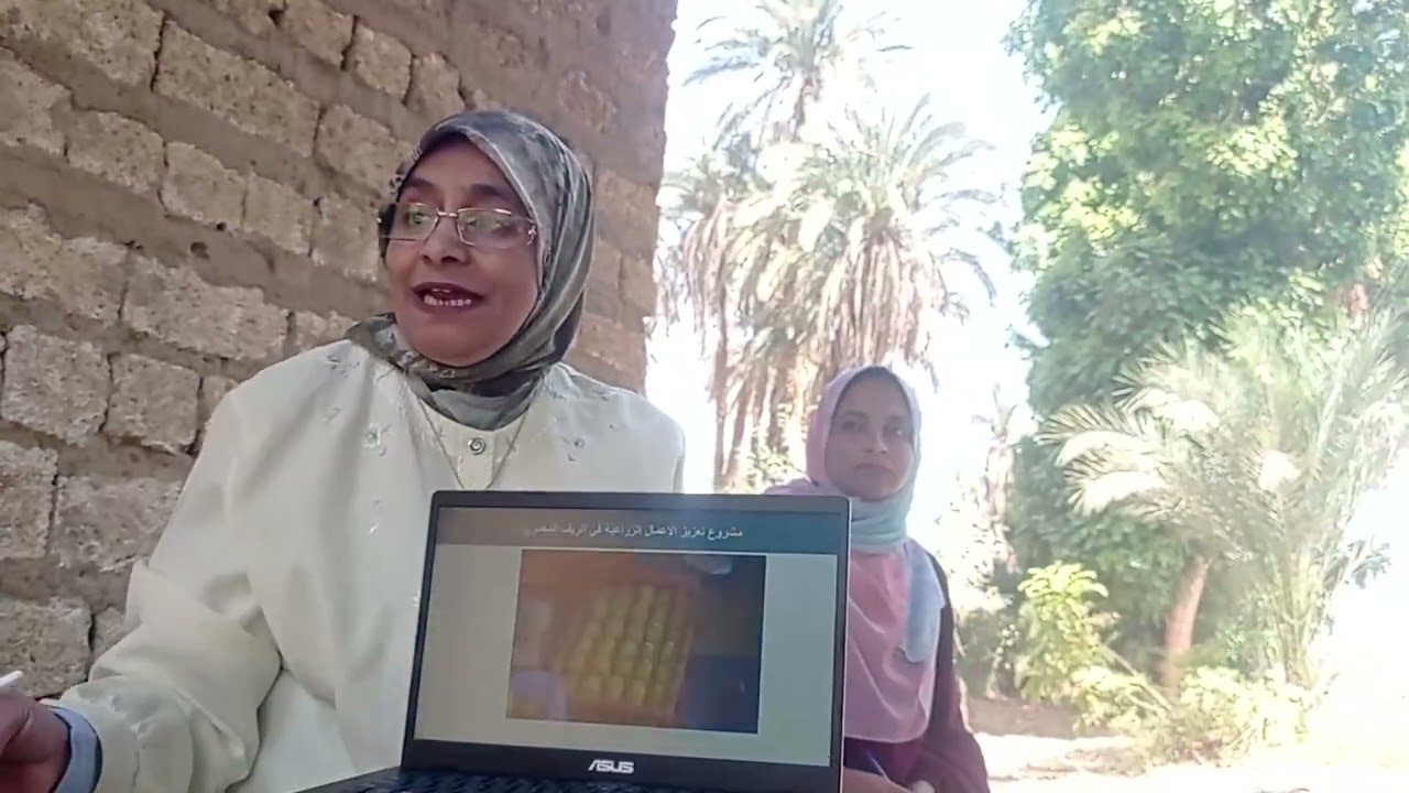 كيفية حصاد محصول المانجو لمنع الفاقد وتحسين جودة الثمار؟ د/رجاء موسى
