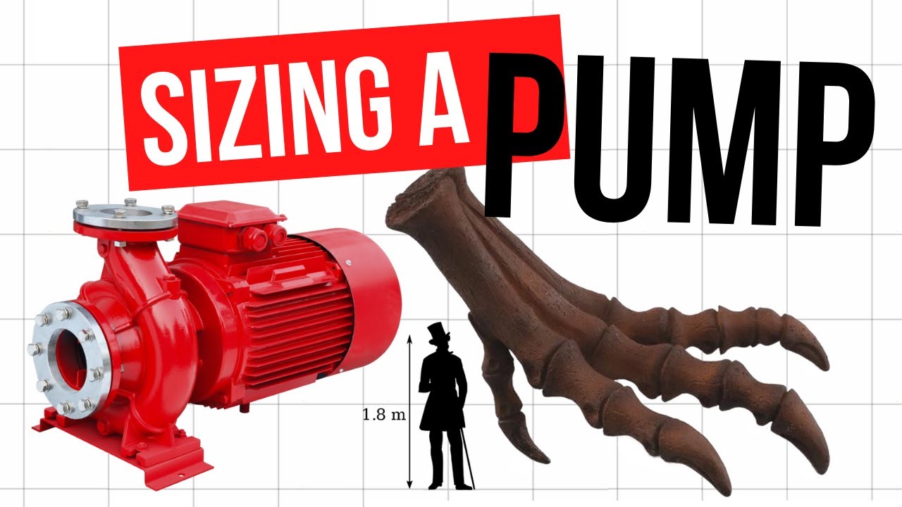 Sizing a pump