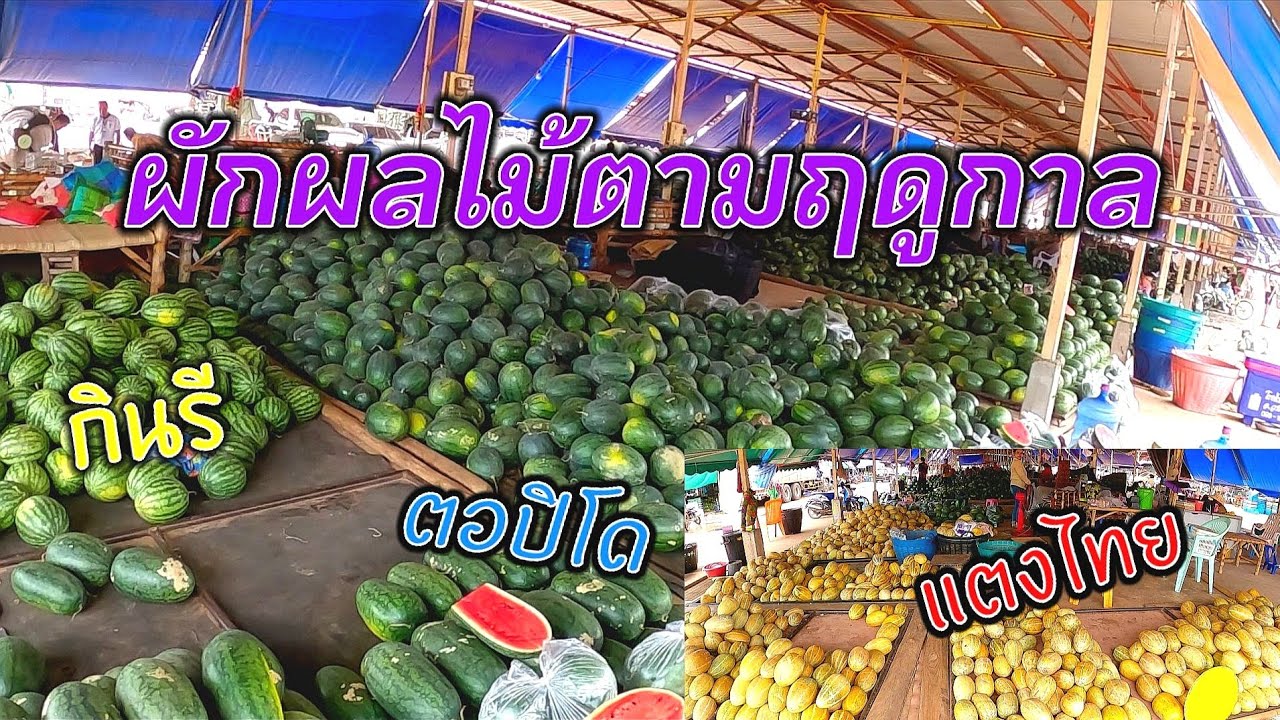 ตลาดขายส่ง ผัก ผลไม้ ที่ใหญ่ที่สุดในจังหวัดอุบลฯ I ตลาดเจริญศรี