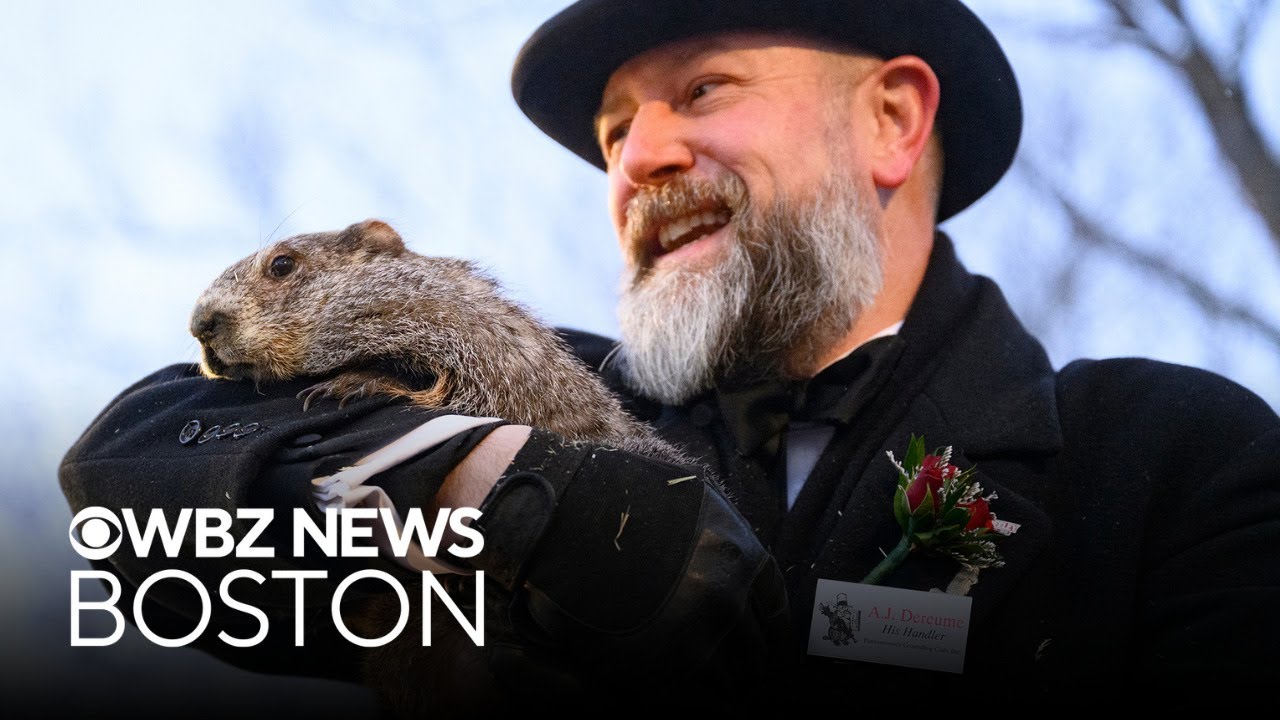Punxsutawney Phil sees shadow, what is in store for the next 6 weeks?