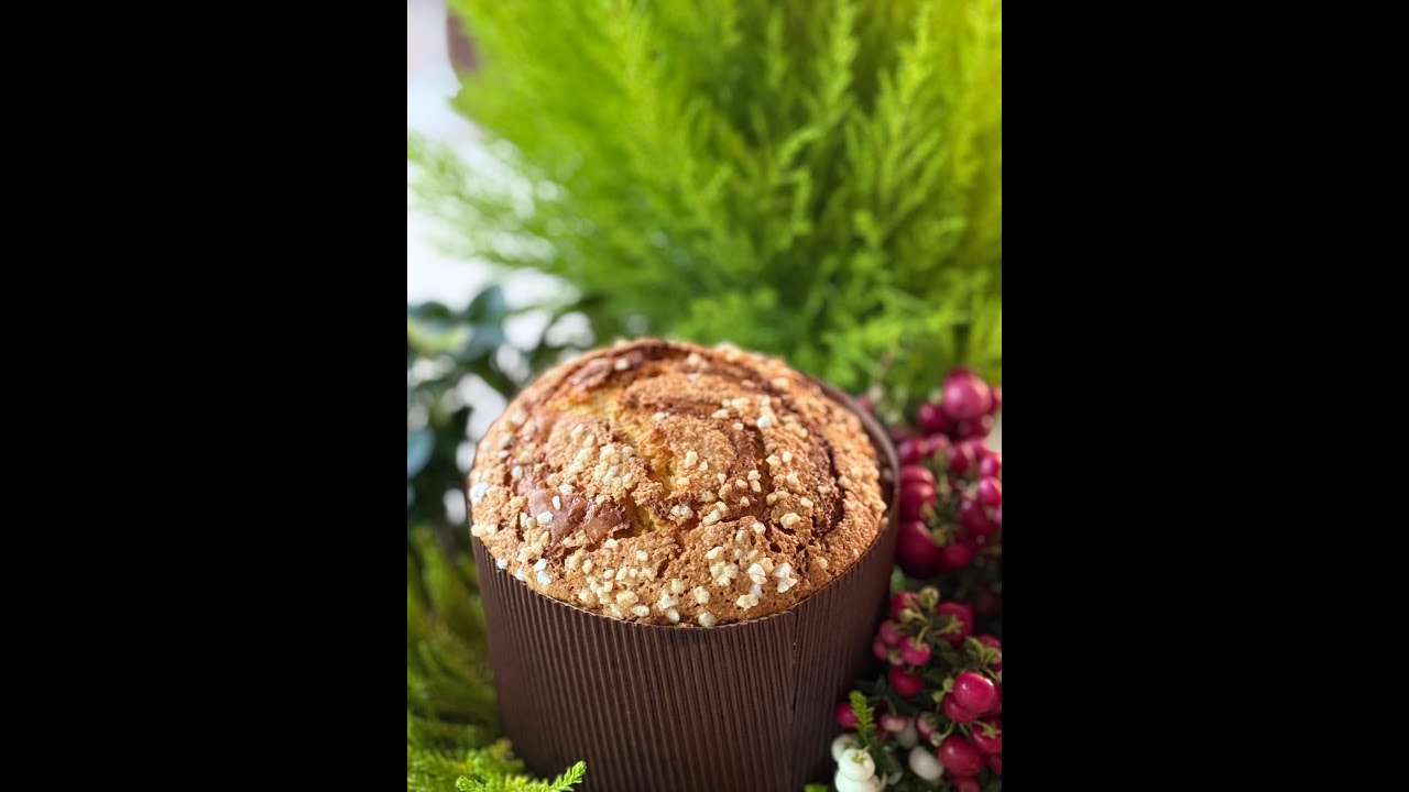 Le Panettone 