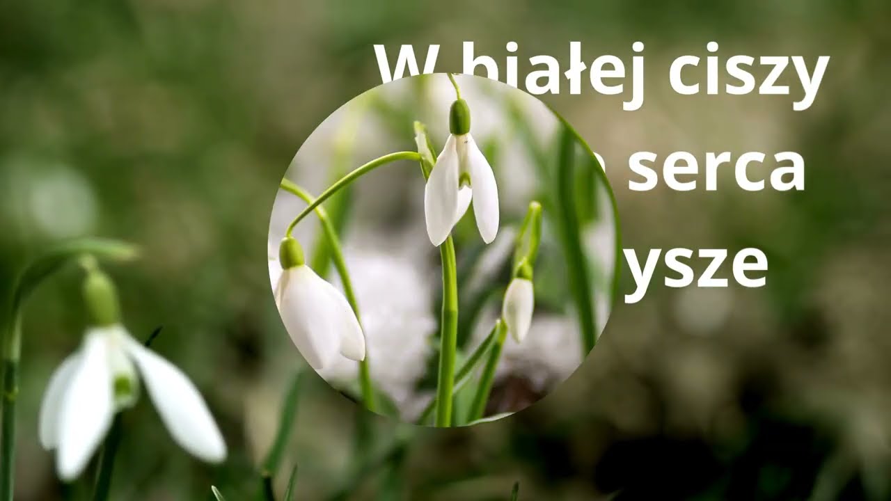 W białej ciszy ukołysze. To piosenka, która jest refleksją nad obecnością Boga.
