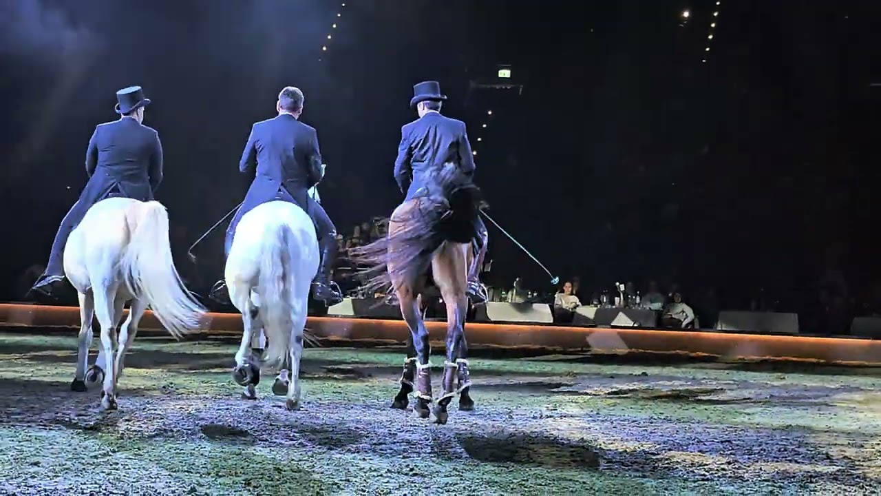Bartolo Messina, Nicki Pfeifer in #Cavalluna 2025 Grand Moments #horse #pferde