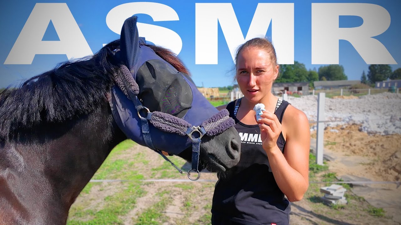 ASMR at the Horse Farm 🐴 