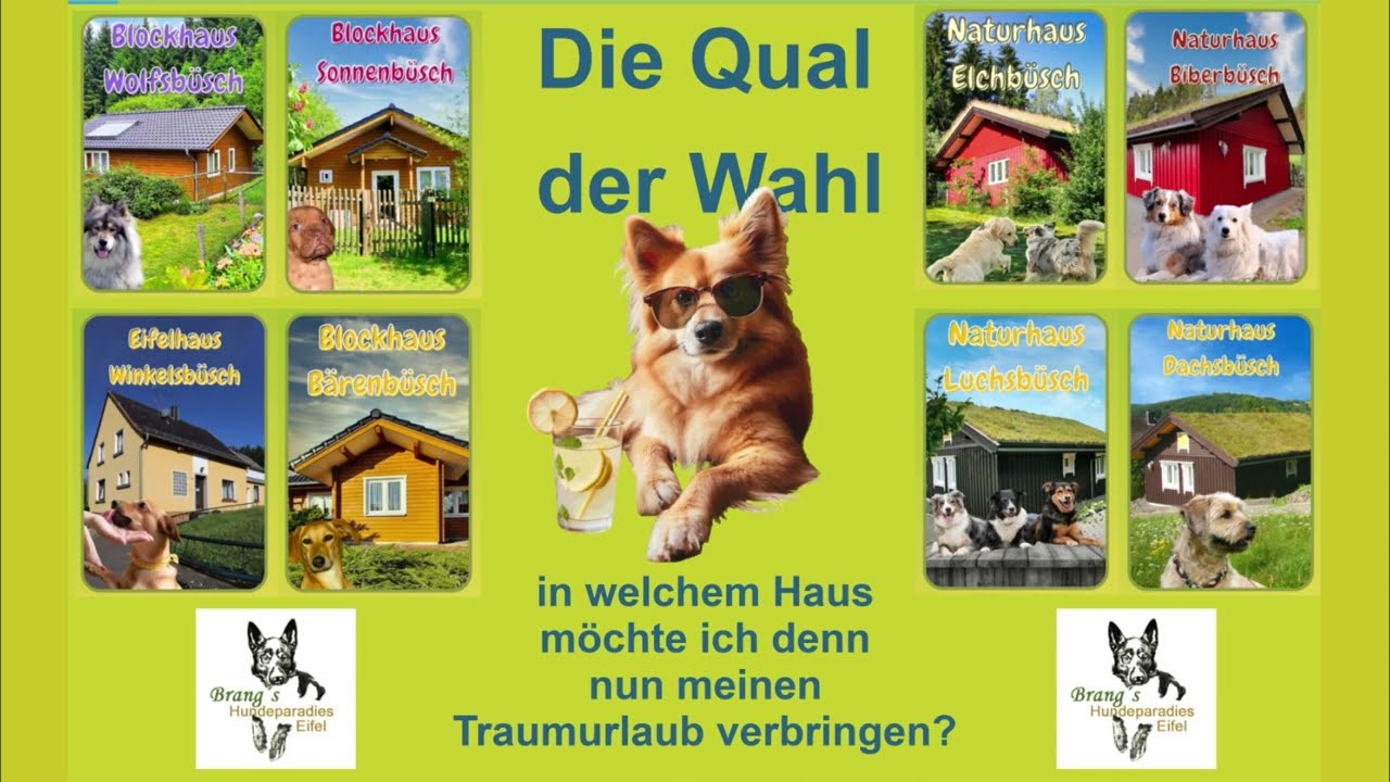 Welches Ferienhaus bietet meinen perfekten Hundeurlaub?