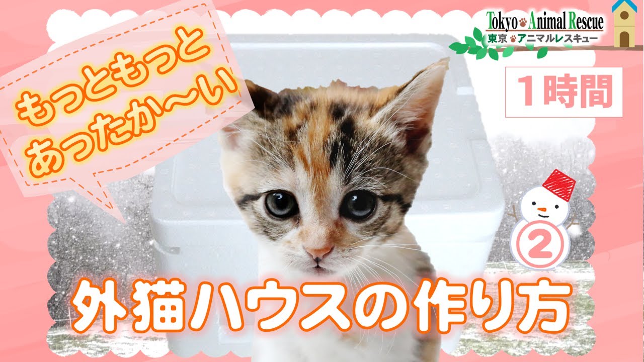 もっともっとあたたかい！外猫ハウスのつくり方＆工夫 Part2