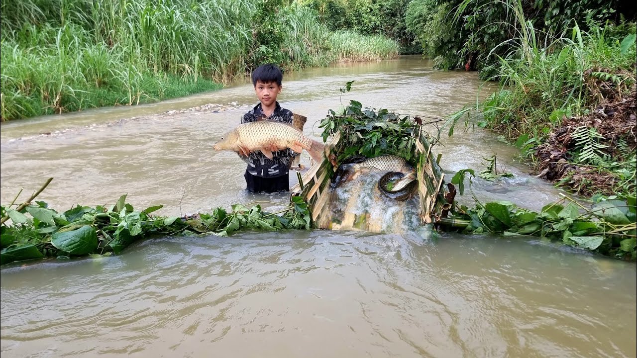 The technique of blocking streams to create primitive fish traps.Orphan boy Nam catches fish to sell
