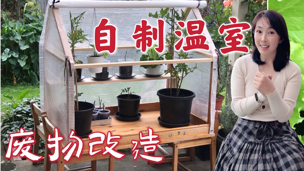 【种植40】自制小温室/暖棚 DIY Greenhouse 废物利用，旧物改造，育苗神器，简单快速 How to build a small greenhouse