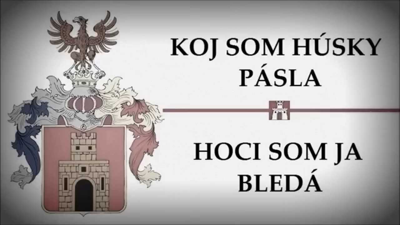 Piesne z Gemera 025 - KOJ SOM H&Uacute;SKY P&Aacute;SLA / HOCI SOM JA BLED&Aacute;