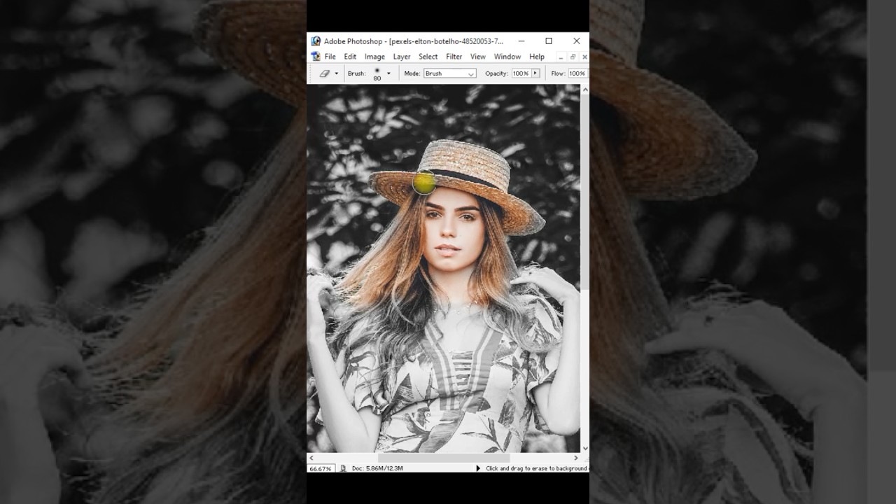 Automatic colorise #new #photoaction #skphotos #windows #imageediting #excel