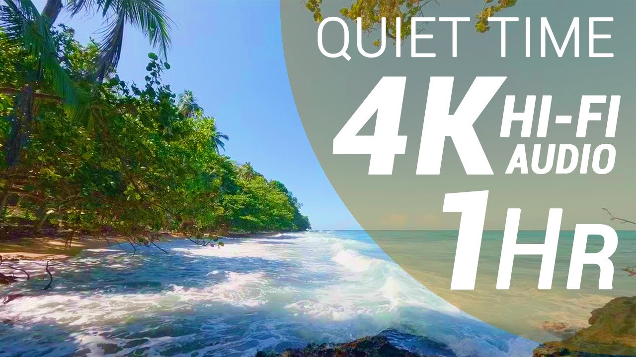1 Hour of Waves Sounds - Tropical Wet Forest (4K - Hi-Fi Audio - No Talking)