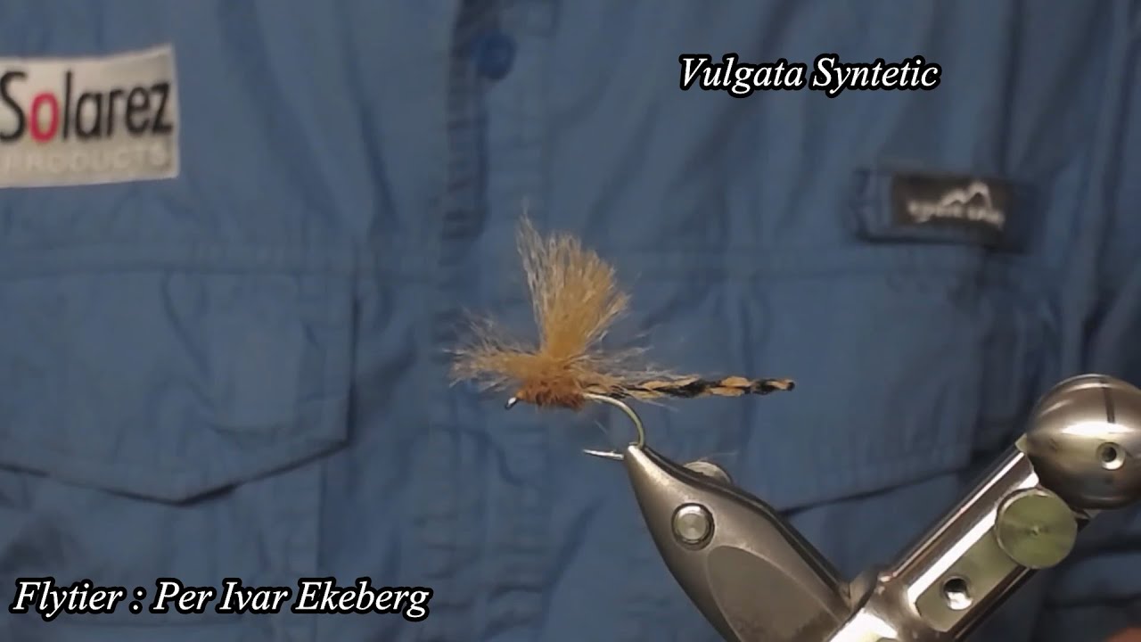 Vulgata syntetic