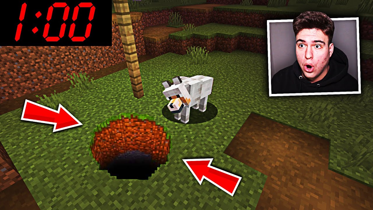 Câinele meu dispare la 1 dimineață în fiecare noapte.. și se întoarce a doua zi! (Minecraft)