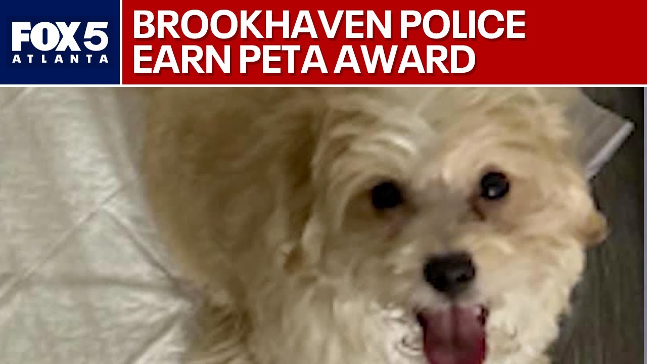Brookhaven police earn PETA award for puppy rescue | FOX 5 News
