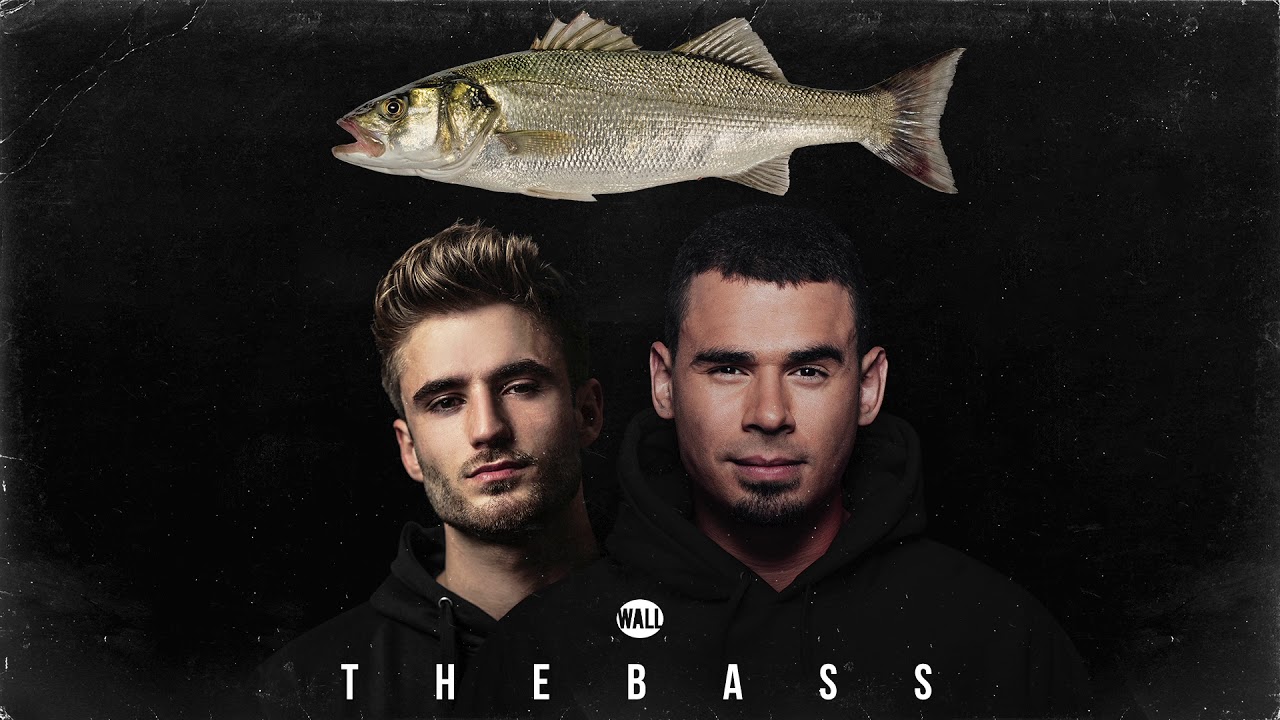 Chico Rose & Afrojack - The Bass