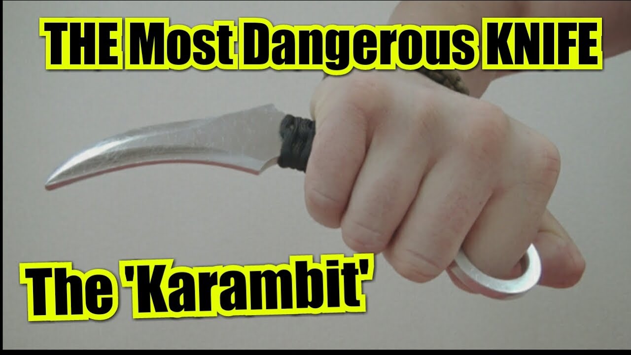 How to Fight with a Karambit - Regardless of your style & experience!