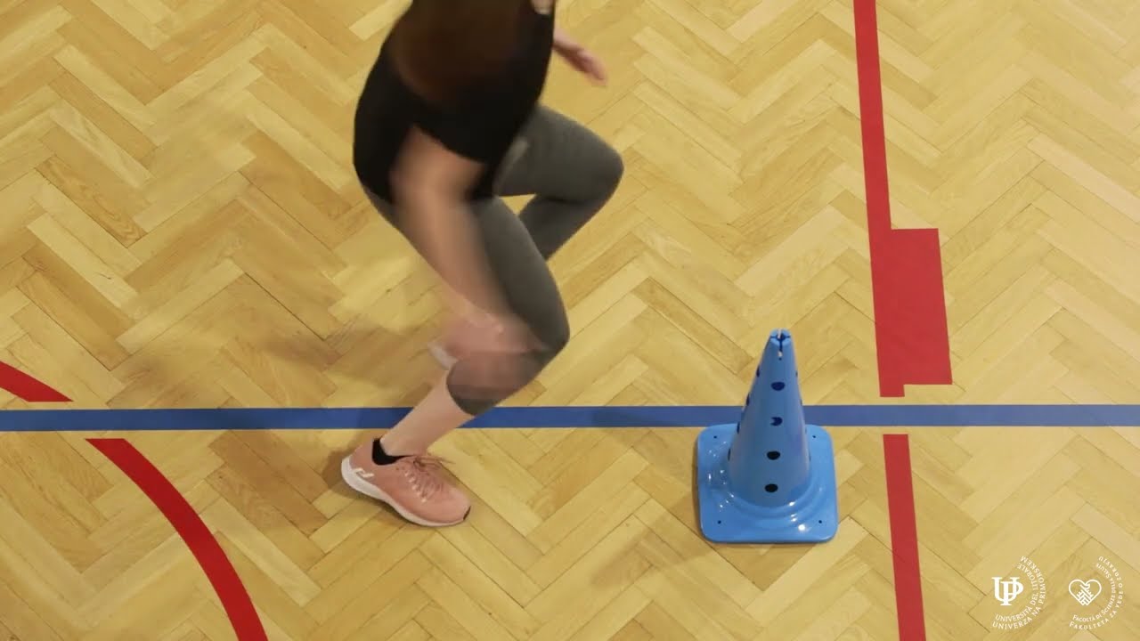 UP FVZ: Aplikativna kineziologija - preizkus gibalnih sposobnosti 2025