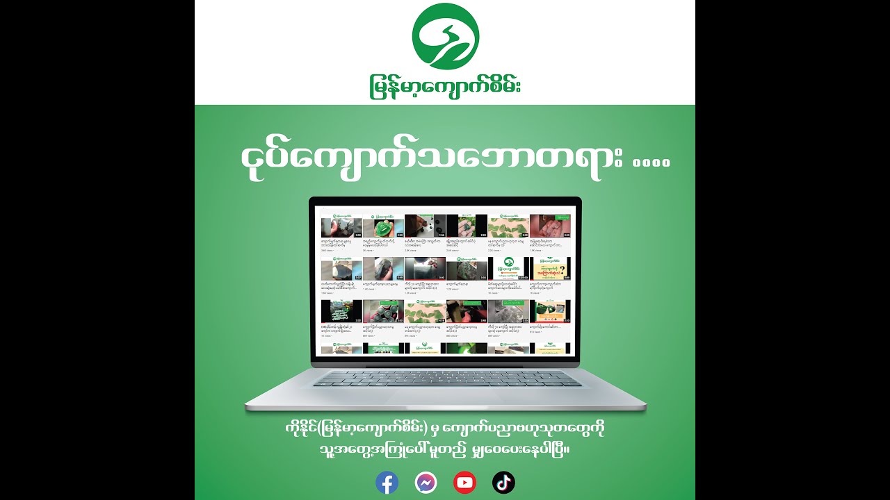 ငုပ်ကျောက်ရဲ့ သဘောတရား