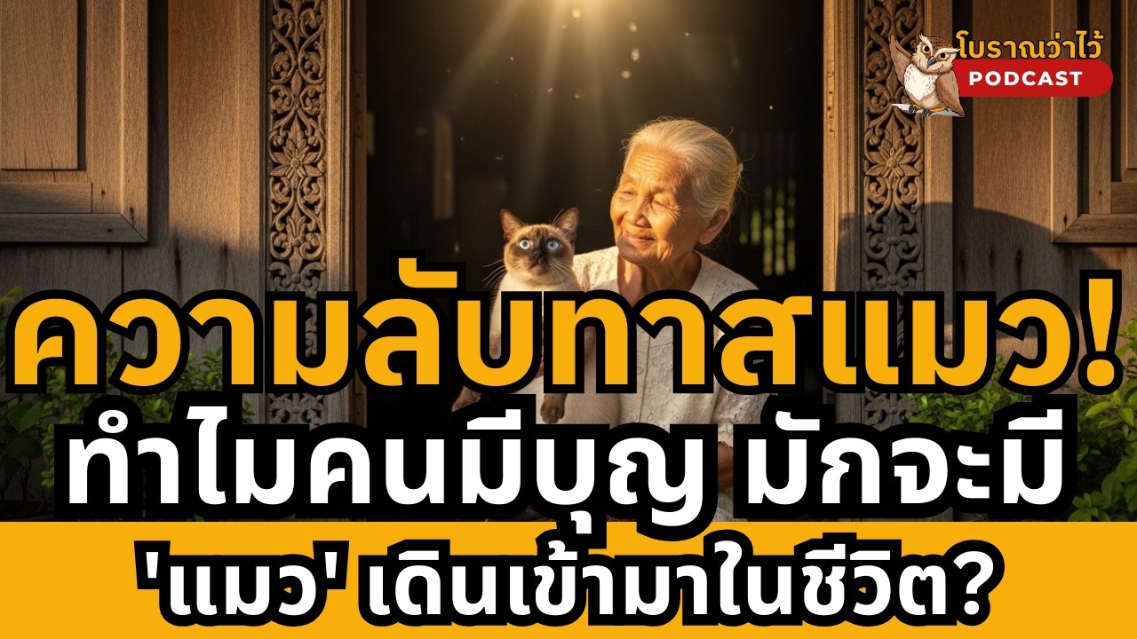 ความลับทาสแมว ทำไมคนมีบุญ มักจะมี 