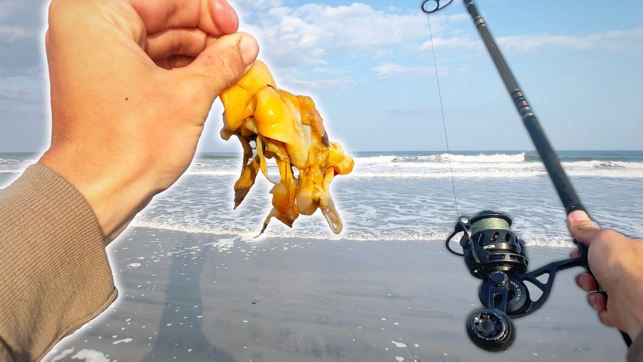 Soaking NASTY Bait for BIG Beach Bites!!!