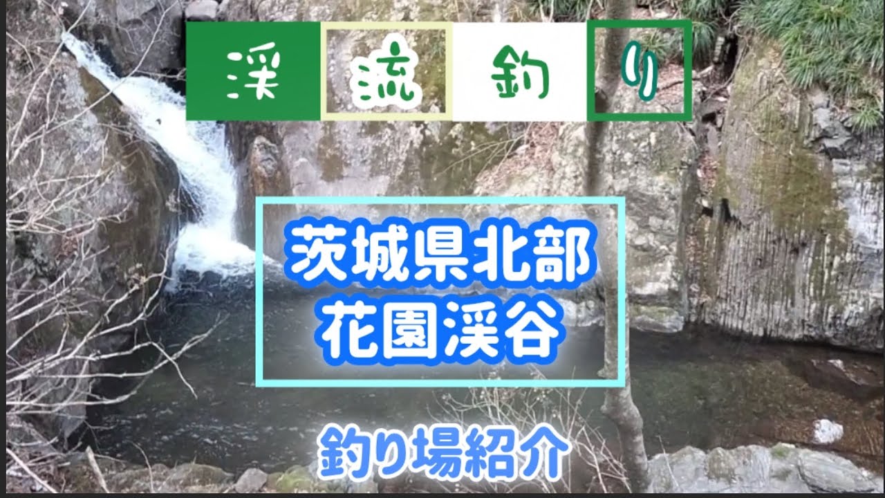 【茨城県北部花園渓谷】🎣釣り場紹介