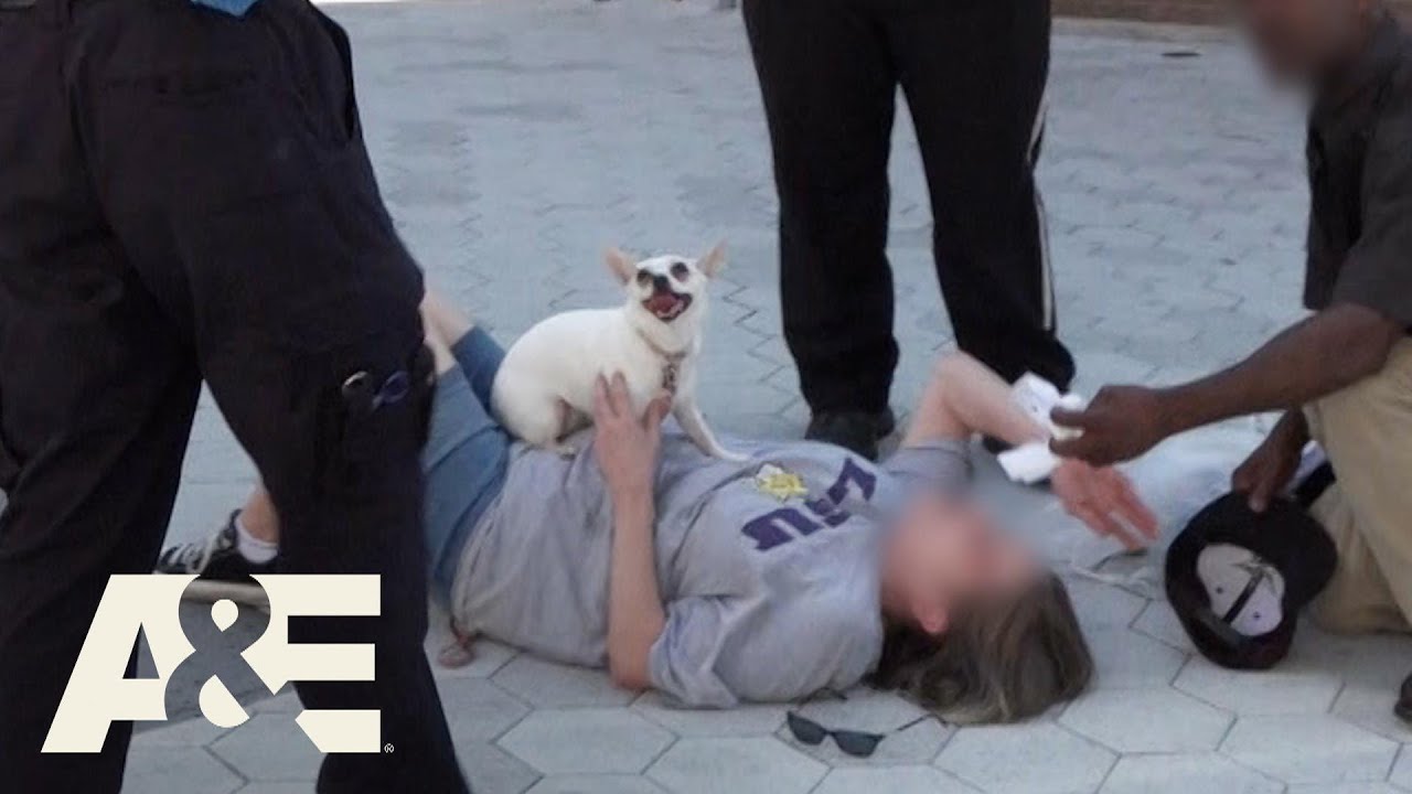 Live Rescue: Treating the Intoxicated - Top 4 Moments - Part 4 | A&E