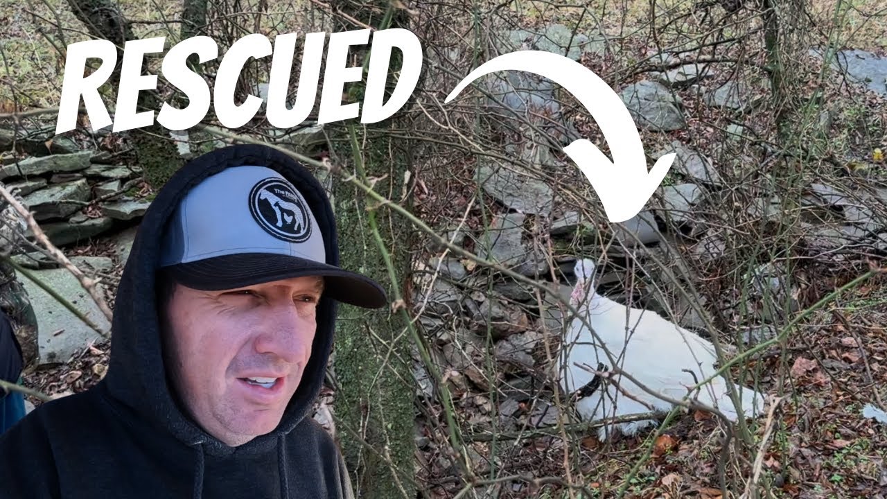 Neighbors Animal Had To Be Rescued!