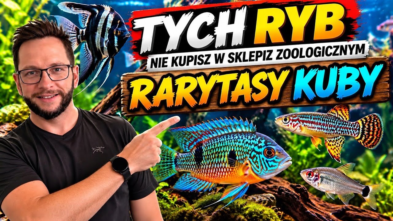 🐟 FISHROOM KUBY &ndash; TYCH RYB NIE ZNAJDZIESZ W ZWYKŁYM SKLEPIE ZOOLOGICZNYM! 🔥
