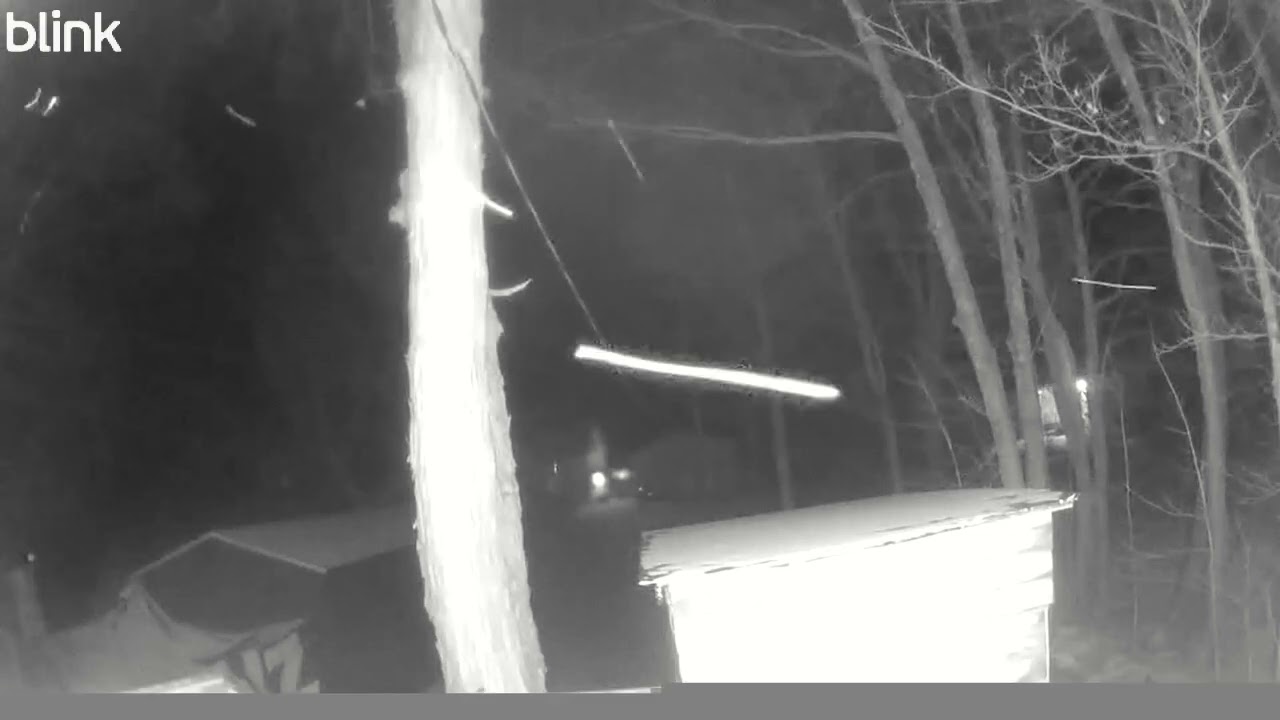 14F swarms 1/8 speed 1251am raw footage of skyfish or rods in the adirondacks