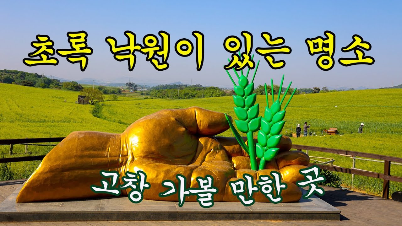 고창청보리밭