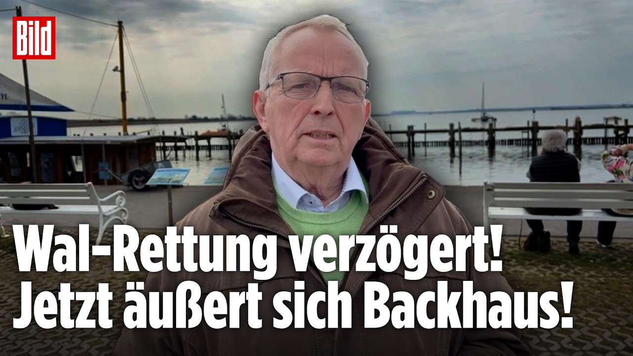 Wal-Drama in der Ostsee: Rettung des Buckelwals verz&ouml;gert sich! Minister Till Backhaus &auml;u&szlig;ert sich!