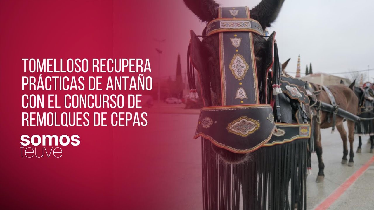 Tomelloso recupera prácticas de antaño con el concurso de remolques de cepas