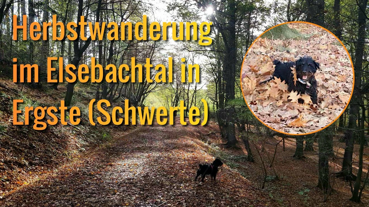 Wanderung im Elsebachtal in Ergste (Schwerte) | Wandern mit Hund | Marion & Neto