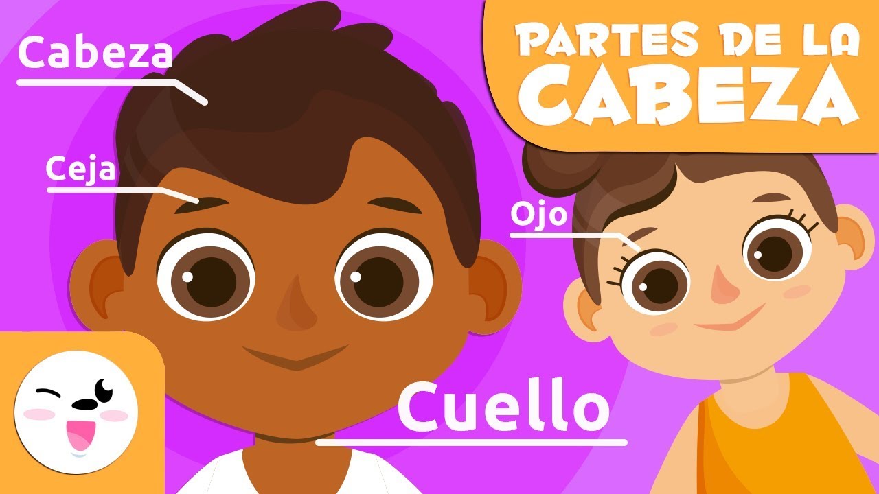 Las partes del cuerpo - La cabeza - Vocabulario para niños